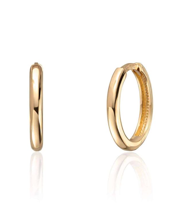 Øreringer i Gull 2x14mm