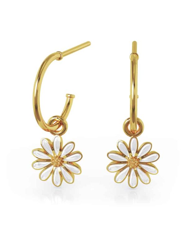 Kreoler med Hvit prestekrage