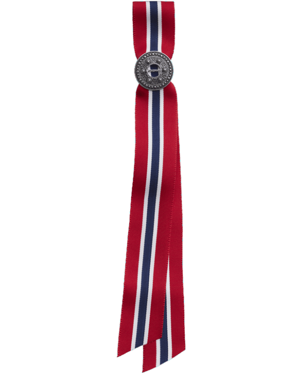 866150 17.MAI-SLØYFEPIN 2I1, OKSIDERT