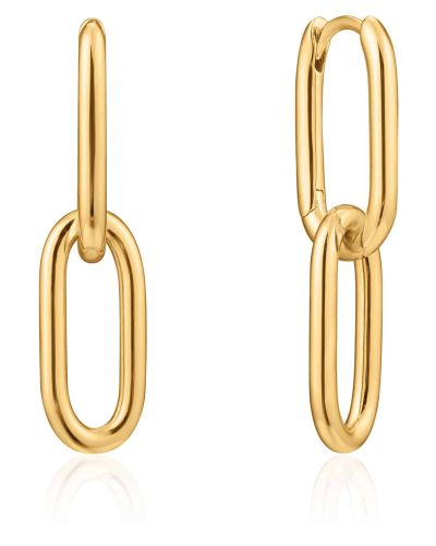 Ania Haie cable link earrings 925S