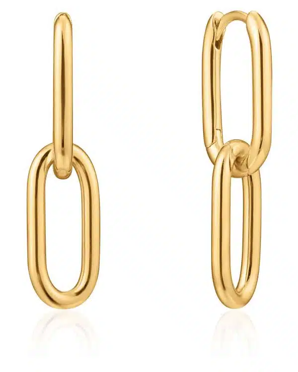 Ania Haie cable link earrings 925S